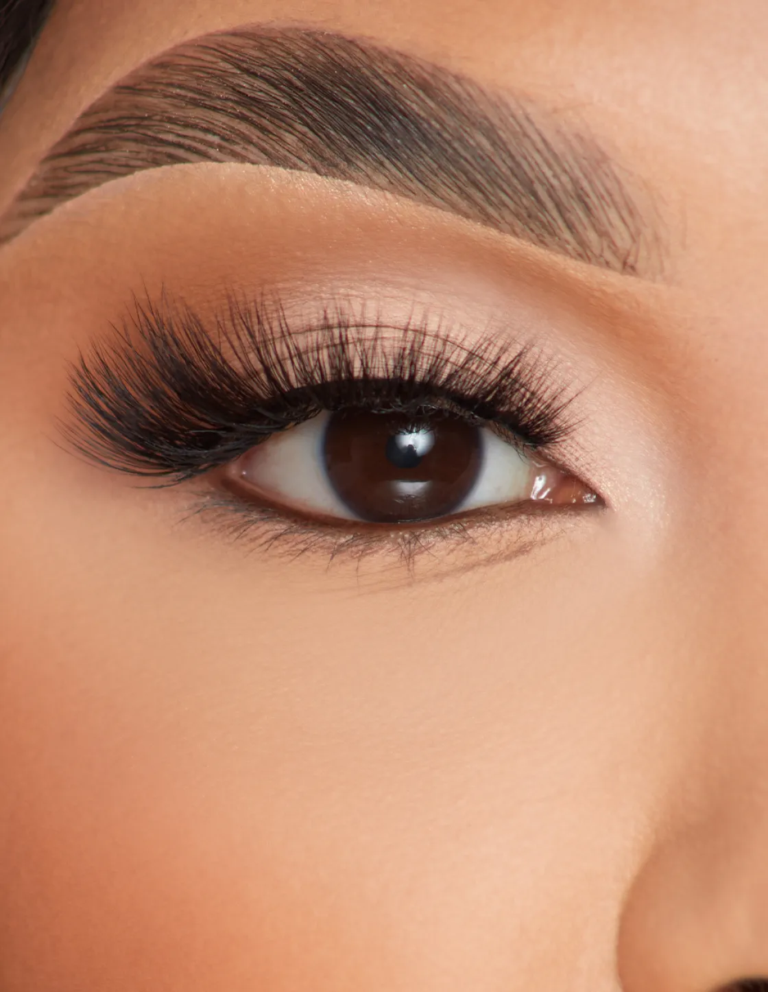 P. Louise P.Louise Lashes - Feather Flair Shop