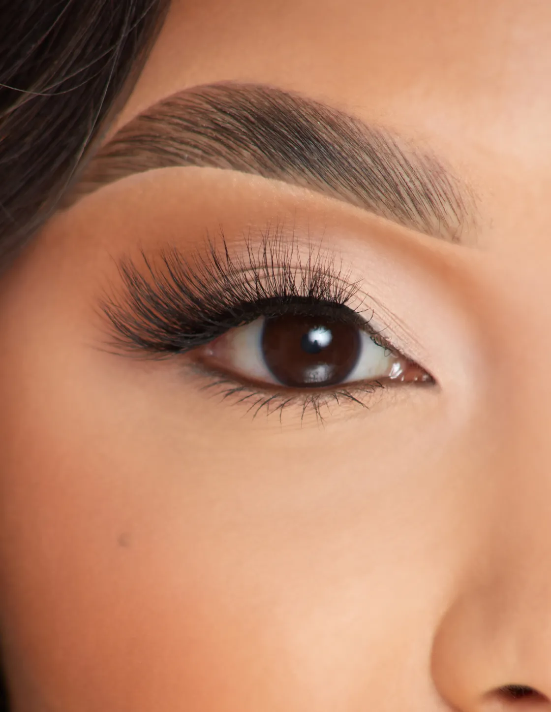 P. Louise P.Louise Lashes - Gaze For Days Clearance
