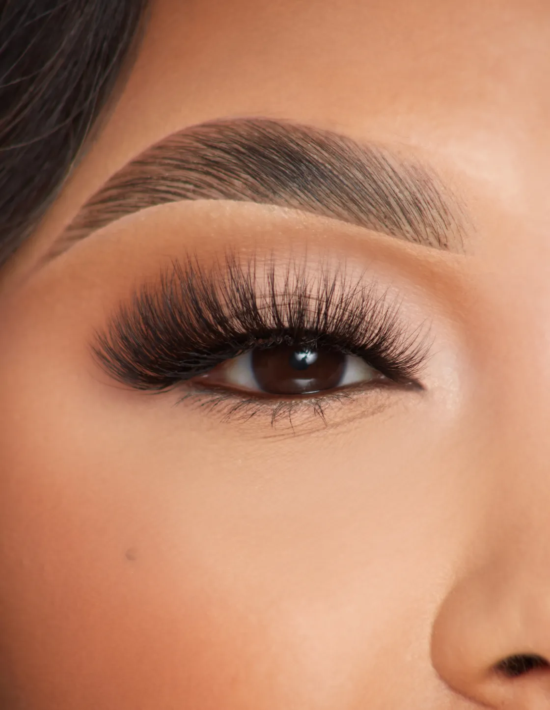P. Louise P.Louise Lashes - Glowing & Growing Cheap