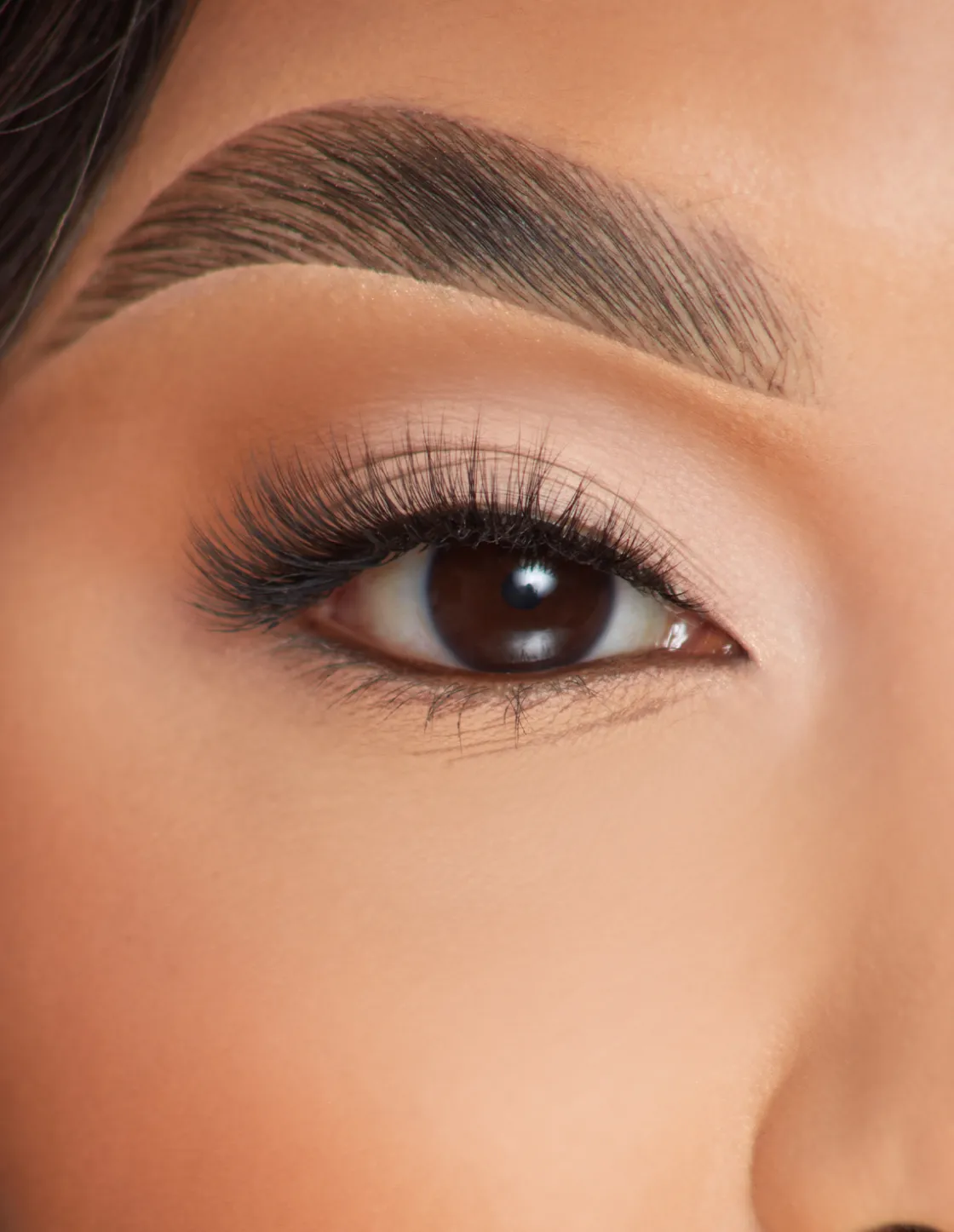 P. Louise P.Louise Lashes - Pure Purpose Online