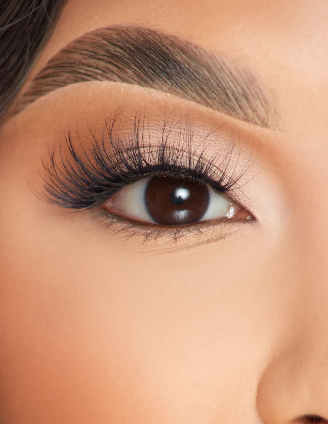P. Louise P.Louise Lashes - Radiant Romance Online