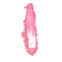 P. Louise P.Louise The Cheek Of It - Loose Powder Blush Discount
